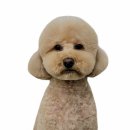 메모리멍 이미지