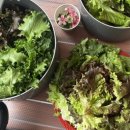 화랑오토캠핑장 화장실 | 안산 가볼만한곳 화랑오토캠핑장 예약방법 시설정보 내돈내산 이용 후기