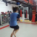 팀 팻보이 이미지