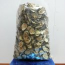 여주-0749 티스토리