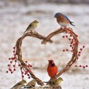 오랜만에... 이미지