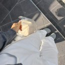 피그 패밀리 | 황남피그 패밀리 + 남해 여행2