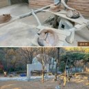 여우들의휴식