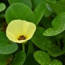 합덕수리민속박물관 이미지