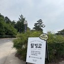 [하회마을카페] 탈빙고｜안동에서 제대로 된 빙수 먹을 곳 찾는다면 여기!