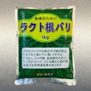 GD팩토리 | [공지] 토마토에 정식전에 꼭 해야될 일은?