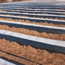 부여농장 이미지