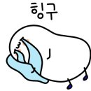 와일드랜드투어 이미지