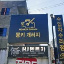 몽키개러지 이미지