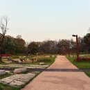 자연장지 이미지