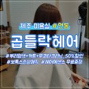 연동곱들락헤어 이미지