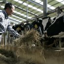 신암목장 이미지