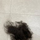 [ 경산 미용실 / 압량 미용실 ] 경산 여자 머리 잘하는 곳 &#39;헤이경헤어&#39; 솔직후기