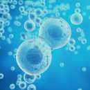 링크늘푸른동물병원 이미지