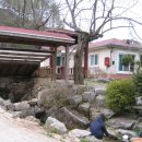 숲속민박 이미지