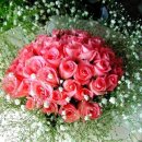 츄카츄카 이미지