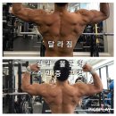 신동헬스장 pt 흉추후만증 굽은 등