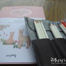 색연필 일러스트 & 보타니컬 아트 | 색연필 일러스트, 쉽게 따라 그리는 손그림 드로잉
