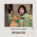 제주참숯가마찜질방 | 제주 서귀포 성산 숯가마찜질방 [제주참숯가마 찜질방]