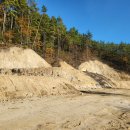 코코스(Cocos) 이미지