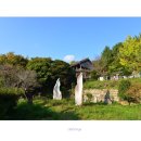 동동동심원 네이버블로그