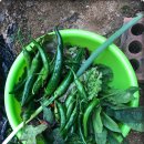 아담스레펜션 이미지