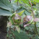 유리농장2 이미지