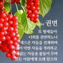 오늘의 양식 (벧후2:9-10) *간 큰 죄인들의 말로 이미지