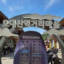 월정사맛집 강원도 평창 오대산가마솥식당 황태구이정식 솔직후기