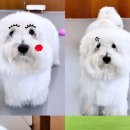 아이멍그라운드 이미지