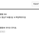 백향목유치원 이미지