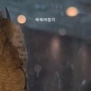 수라갈비찜 이미지