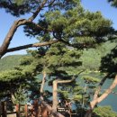 옛길가든 이미지