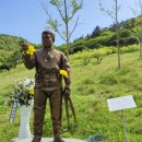 백동무궁화동산 이미지