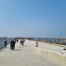 [경기도 화성시] 궁평항 당일치기 여행 다녀왔다