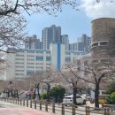 남천2동 행정복지센터 이미지