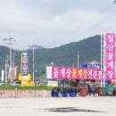 칠산꽃게장전문점 이미지