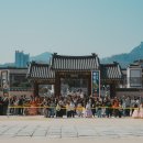 꽃 보러 떠나는 세계여행(2) 이미지