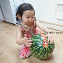 유림청과 이미지