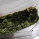 보리카매니아 | [제주/봉개동] 제주 보리빵 쑥찐빵 줄서서 사먹는 맛집 코시롱보리빵