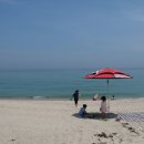 바다와 솔향기 이미지