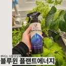 대유고려홍삼 | 식집사)실내식물 뿌리는 식물영양제 대유 블루윈 플랜트에너지