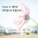 청초 - 의정부시 추동로108번길 17 | 청초