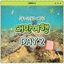 중부-현장-중부-337 | 늦잠자고도 바다거북이랑 수영 성공한 날 🐢 소류구 스노클링 리얼후기! / 야키니쿠 추천 / 가오슝 야시장