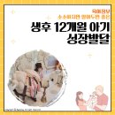 한영목장 | 생후 12개월 아기 성장발달:365~400days(분유끊기,유아식,키몸무게,장난감)