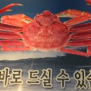 구룡포대게 이미지