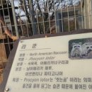 인천대공원(남문) Daum카페