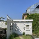 봄날오다 | 서울 근교 드라이브 코스 추천! 양수리 데이지 명소 '소풍 카페' 주차, 입장료, 포토존, 애견동반 총정리