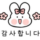 다비치안경 하단점 이미지