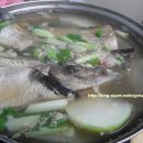동태사랑 - 용인시 처인구 | 동태사랑